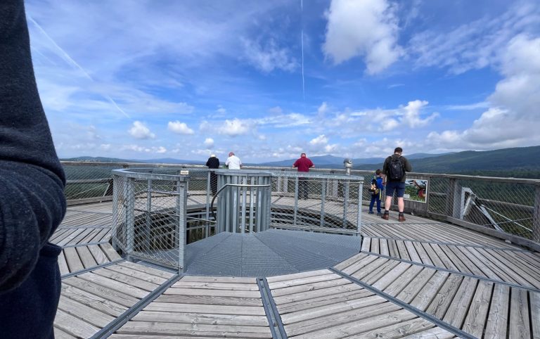 Ausblickplattform auf dem "Baumwipfelpfad" Ausblickplattform auf dem "Baumwipfelpfad"